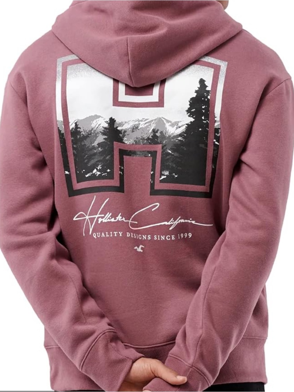 HOLLISTER Burgundy California Printed Logo Y2K Graphic Hoodie Size L